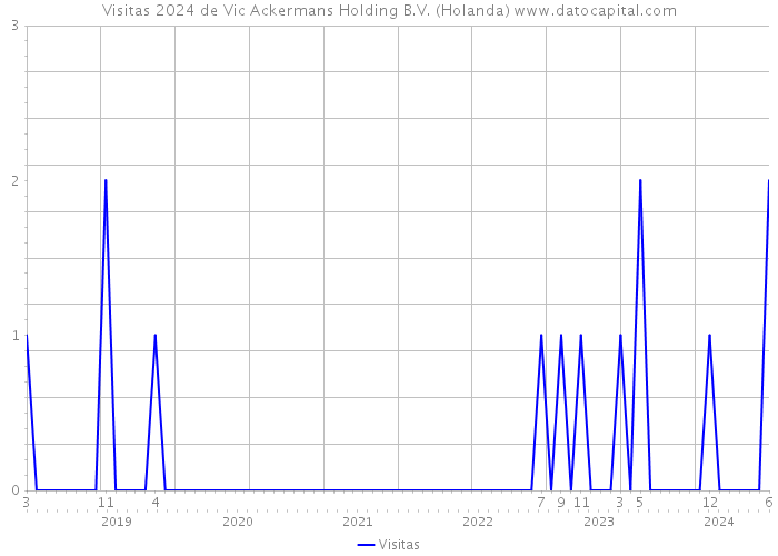 Visitas 2024 de Vic Ackermans Holding B.V. (Holanda) 