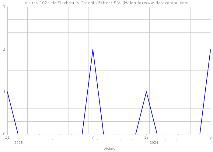 Visitas 2024 de Slachthuis Groenlo Beheer B.V. (Holanda) 