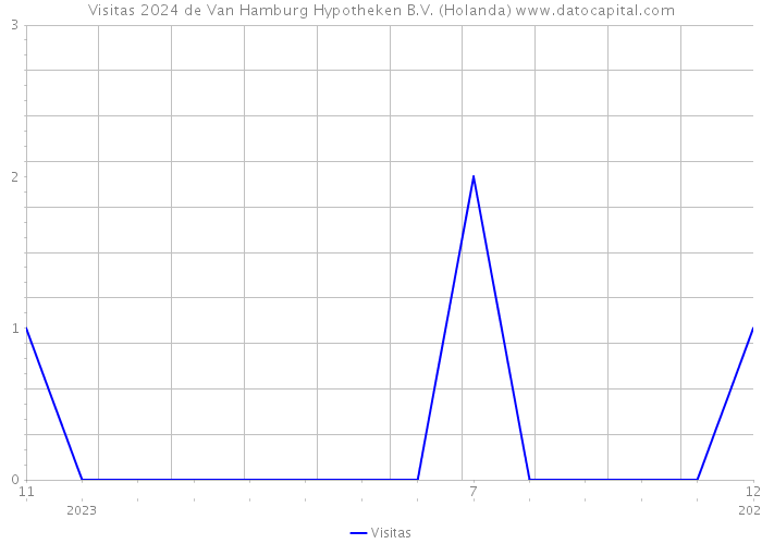 Visitas 2024 de Van Hamburg Hypotheken B.V. (Holanda) 