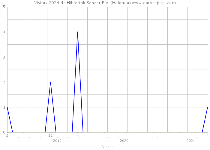 Visitas 2024 de Hilderink Beheer B.V. (Holanda) 