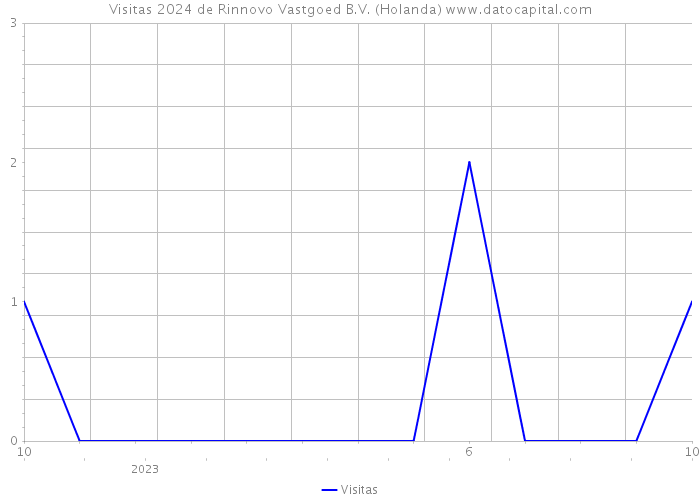 Visitas 2024 de Rinnovo Vastgoed B.V. (Holanda) 