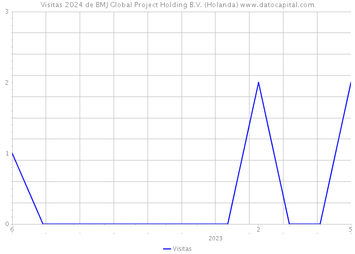 Visitas 2024 de BMJ Global Project Holding B.V. (Holanda) 