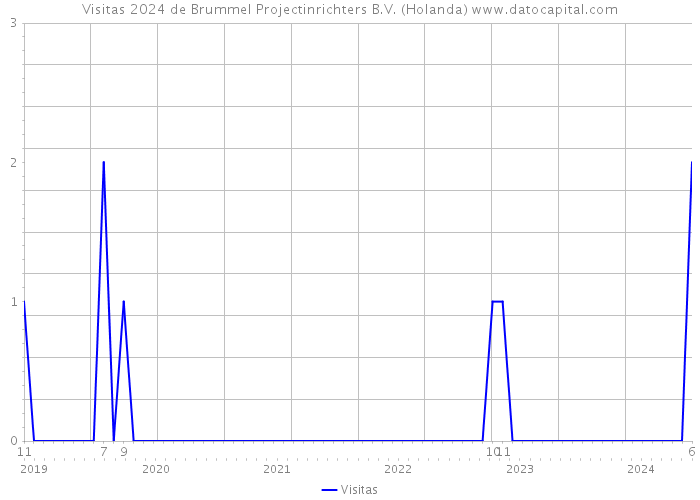 Visitas 2024 de Brummel Projectinrichters B.V. (Holanda) 