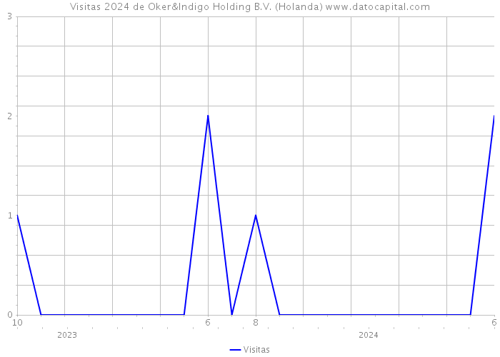 Visitas 2024 de Oker&Indigo Holding B.V. (Holanda) 