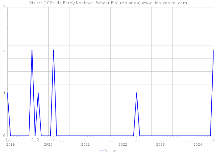 Visitas 2024 de Berny Koekoek Beheer B.V. (Holanda) 