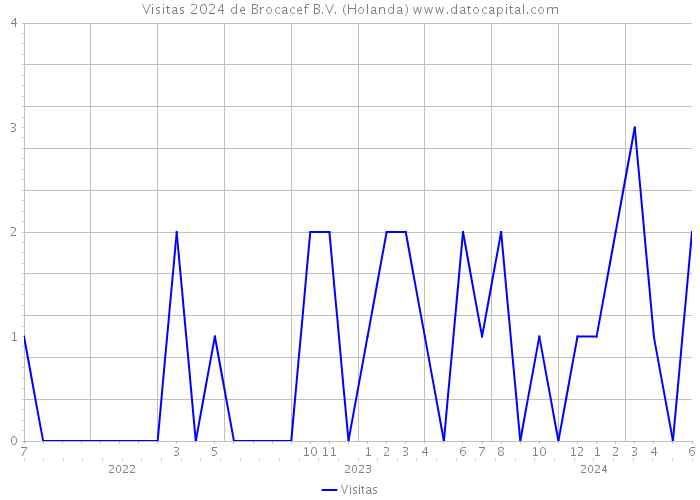 Visitas 2024 de Brocacef B.V. (Holanda) 