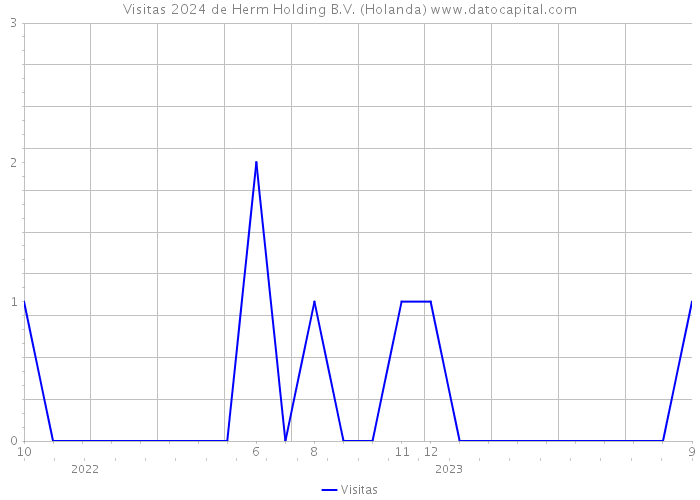 Visitas 2024 de Herm Holding B.V. (Holanda) 