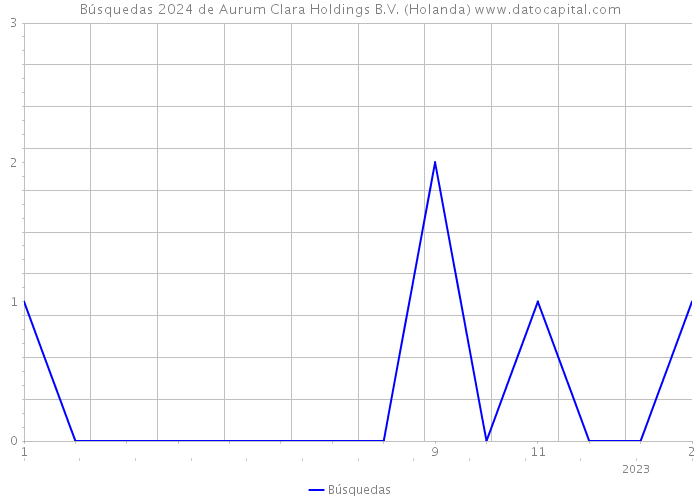 Búsquedas 2024 de Aurum Clara Holdings B.V. (Holanda) 