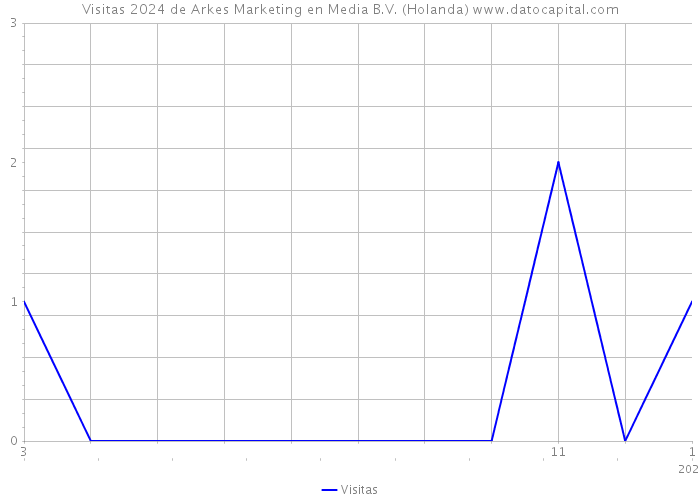 Visitas 2024 de Arkes Marketing en Media B.V. (Holanda) 