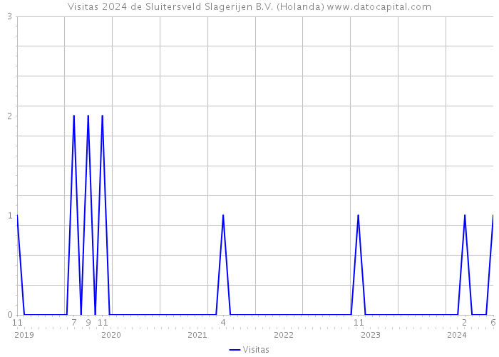 Visitas 2024 de Sluitersveld Slagerijen B.V. (Holanda) 