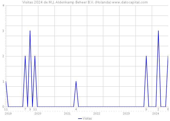 Visitas 2024 de M.J. Aldenkamp Beheer B.V. (Holanda) 