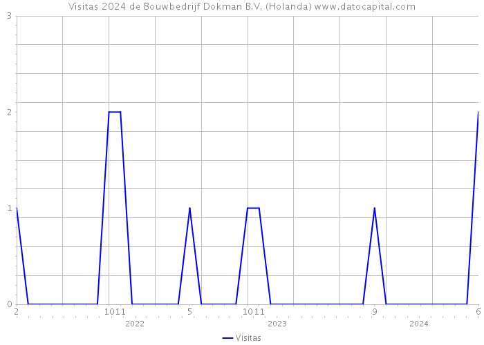 Visitas 2024 de Bouwbedrijf Dokman B.V. (Holanda) 