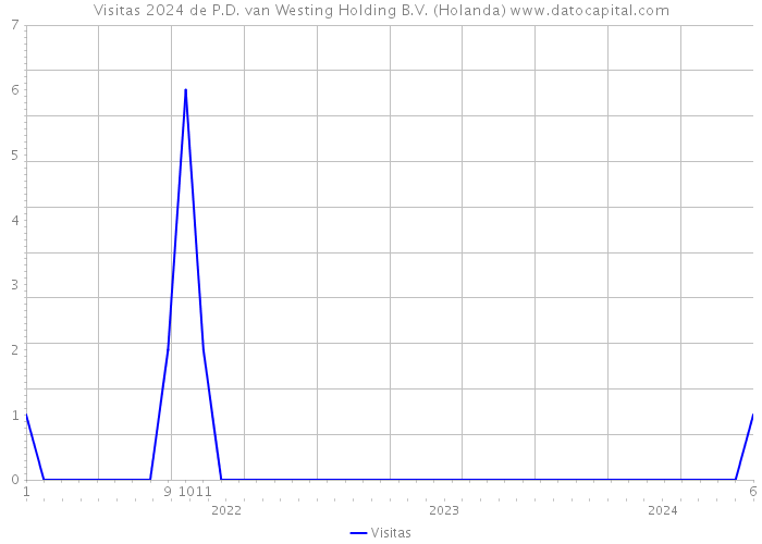 Visitas 2024 de P.D. van Westing Holding B.V. (Holanda) 