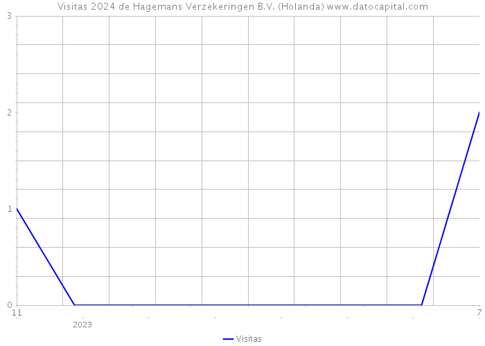 Visitas 2024 de Hagemans Verzekeringen B.V. (Holanda) 