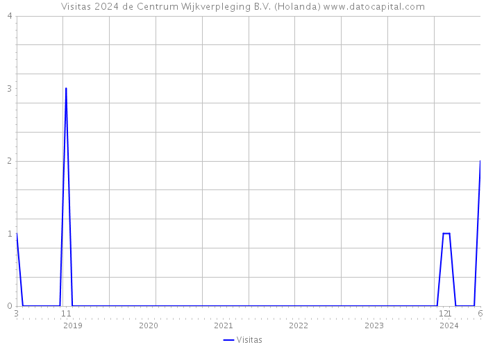 Visitas 2024 de Centrum Wijkverpleging B.V. (Holanda) 