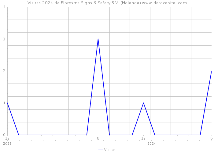 Visitas 2024 de Blomsma Signs & Safety B.V. (Holanda) 