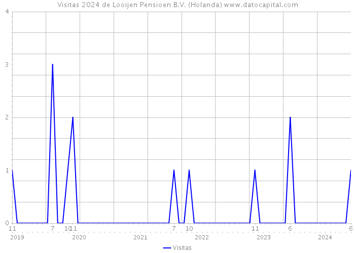 Visitas 2024 de Looijen Pensioen B.V. (Holanda) 