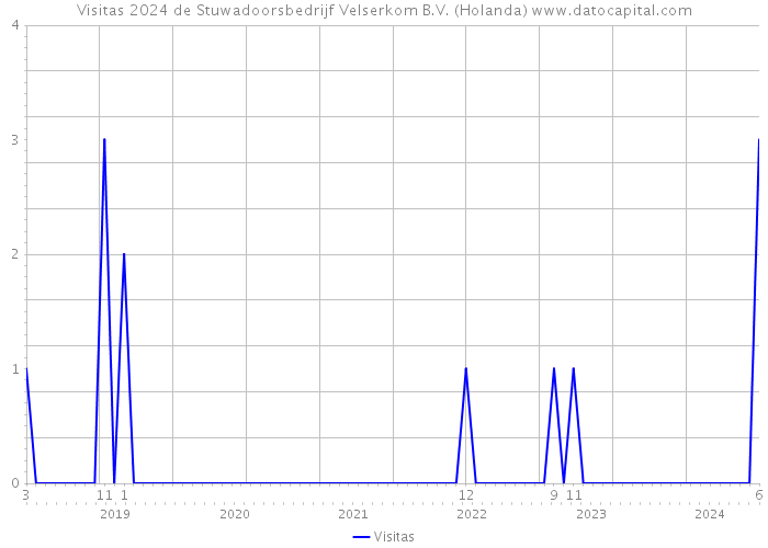 Visitas 2024 de Stuwadoorsbedrijf Velserkom B.V. (Holanda) 