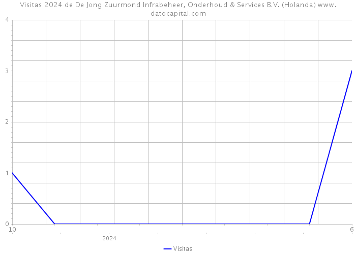 Visitas 2024 de De Jong Zuurmond Infrabeheer, Onderhoud & Services B.V. (Holanda) 