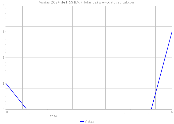 Visitas 2024 de H&S B.V. (Holanda) 