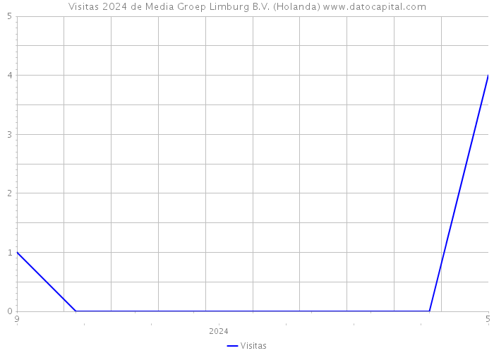 Visitas 2024 de Media Groep Limburg B.V. (Holanda) 