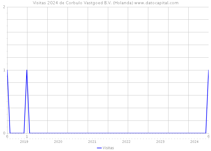 Visitas 2024 de Corbulo Vastgoed B.V. (Holanda) 