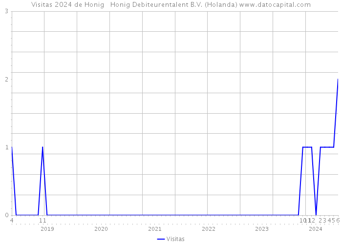 Visitas 2024 de Honig + Honig Debiteurentalent B.V. (Holanda) 