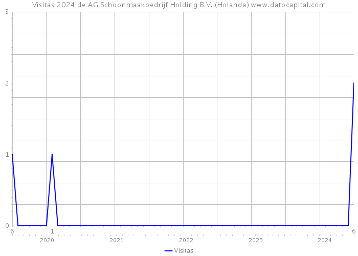 Visitas 2024 de AG Schoonmaakbedrijf Holding B.V. (Holanda) 