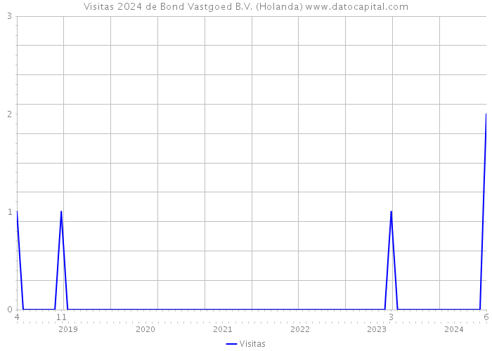 Visitas 2024 de Bond Vastgoed B.V. (Holanda) 