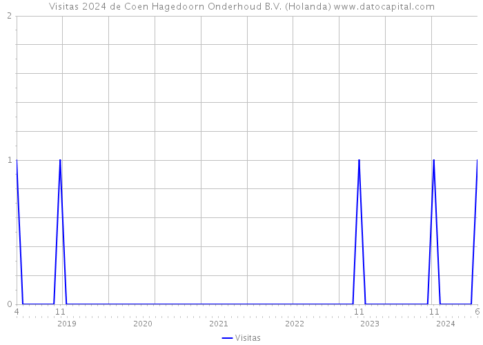 Visitas 2024 de Coen Hagedoorn Onderhoud B.V. (Holanda) 