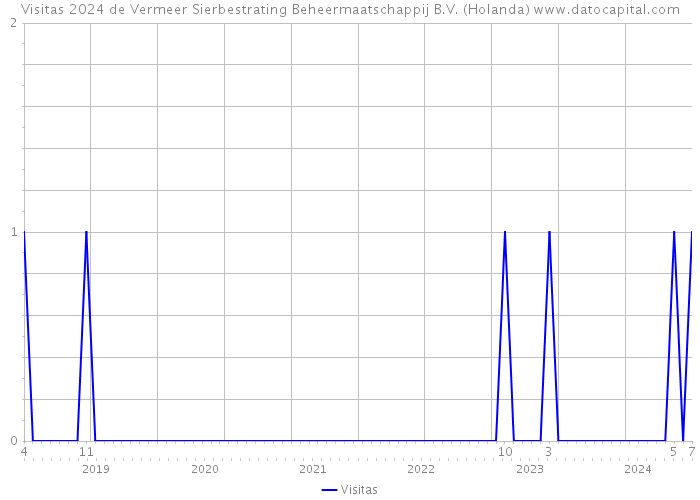 Visitas 2024 de Vermeer Sierbestrating Beheermaatschappij B.V. (Holanda) 