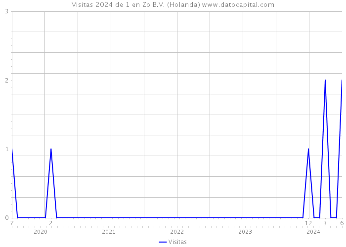 Visitas 2024 de 1 en Zo B.V. (Holanda) 