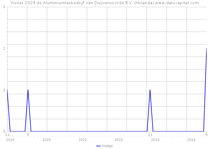 Visitas 2024 de Aluminiumlasbedrijf Van Duijvenvoorde B.V. (Holanda) 