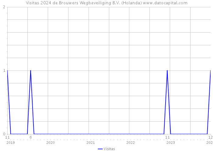 Visitas 2024 de Brouwers Wegbeveiliging B.V. (Holanda) 