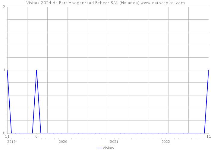 Visitas 2024 de Bart Hoogenraad Beheer B.V. (Holanda) 