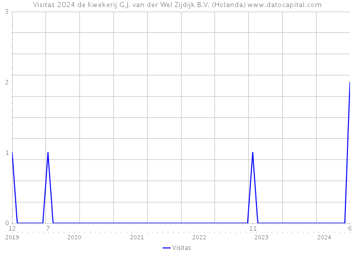 Visitas 2024 de Kwekerij G.J. van der Wel Zijdijk B.V. (Holanda) 