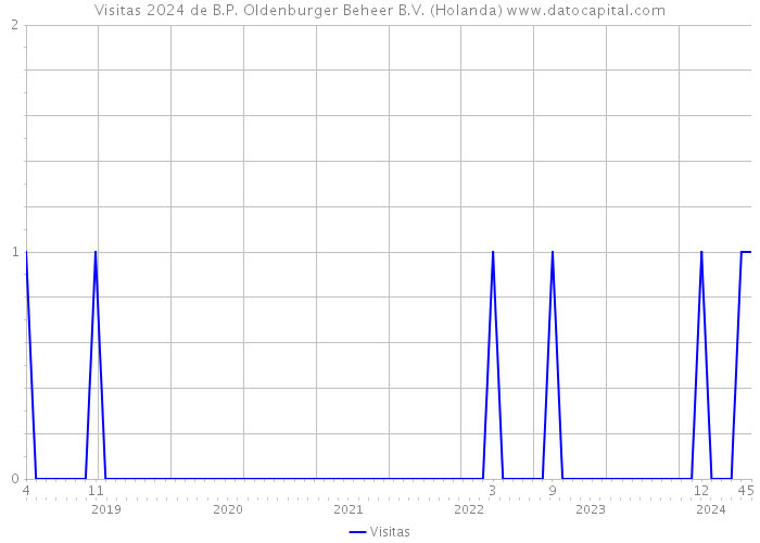 Visitas 2024 de B.P. Oldenburger Beheer B.V. (Holanda) 