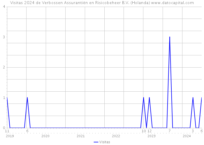 Visitas 2024 de Verbossen Assurantiën en Risicobeheer B.V. (Holanda) 