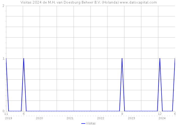 Visitas 2024 de M.H. van Doesburg Beheer B.V. (Holanda) 