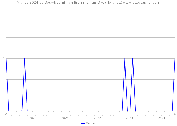 Visitas 2024 de Bouwbedrijf Ten Brummelhuis B.V. (Holanda) 