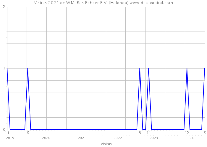 Visitas 2024 de W.M. Bos Beheer B.V. (Holanda) 