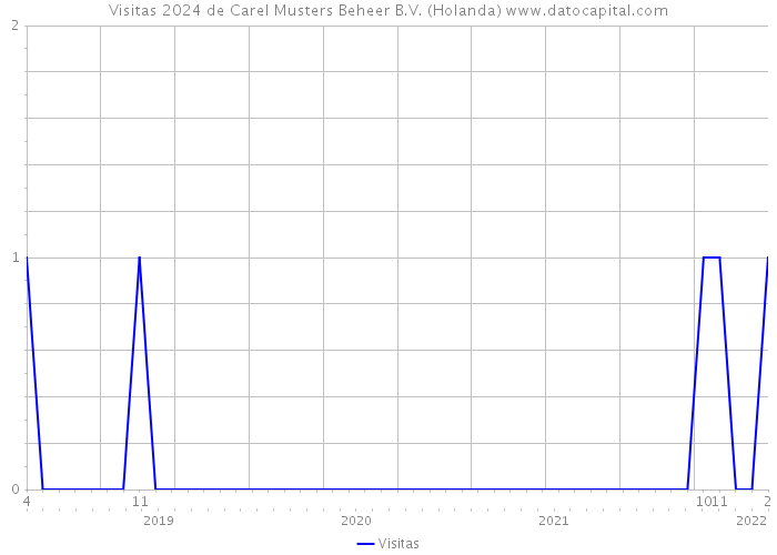 Visitas 2024 de Carel Musters Beheer B.V. (Holanda) 