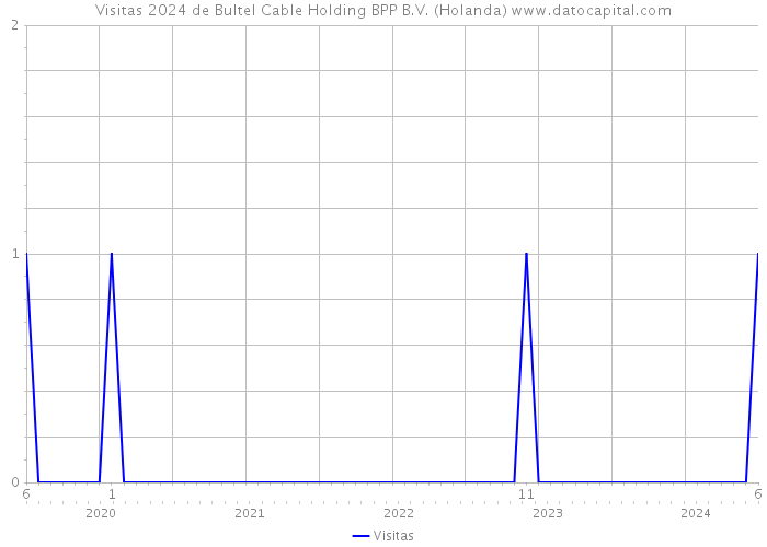 Visitas 2024 de Bultel Cable Holding BPP B.V. (Holanda) 