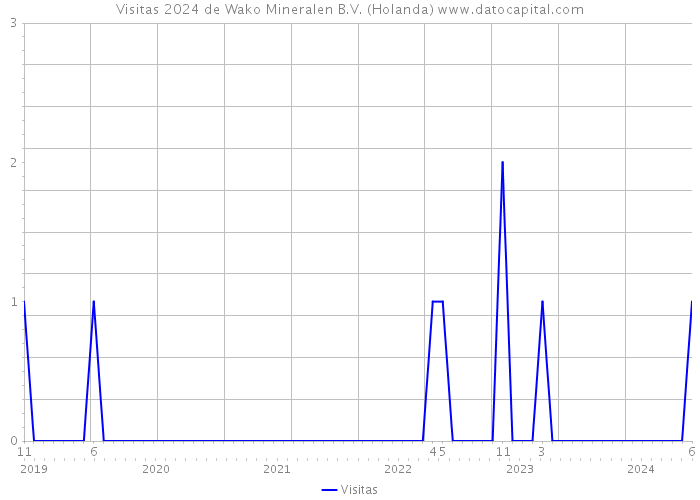 Visitas 2024 de Wako Mineralen B.V. (Holanda) 