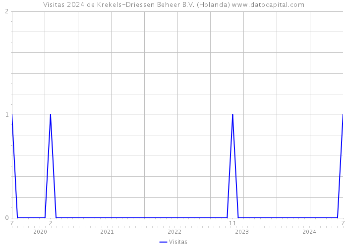 Visitas 2024 de Krekels-Driessen Beheer B.V. (Holanda) 