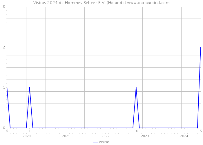 Visitas 2024 de Hommes Beheer B.V. (Holanda) 