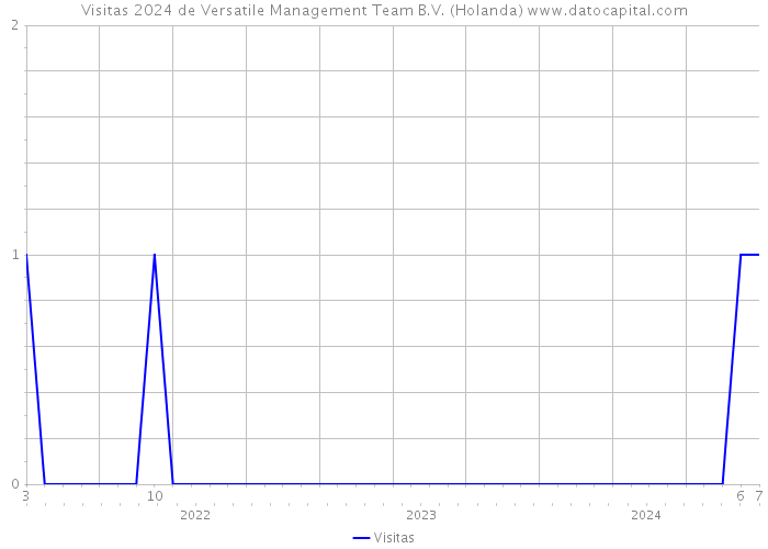 Visitas 2024 de Versatile Management Team B.V. (Holanda) 