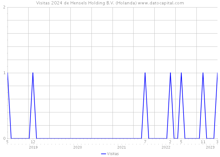 Visitas 2024 de Hensels Holding B.V. (Holanda) 