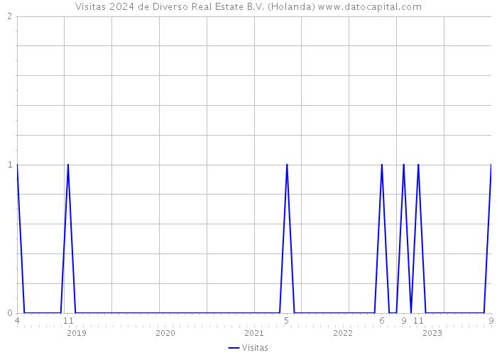 Visitas 2024 de Diverso Real Estate B.V. (Holanda) 