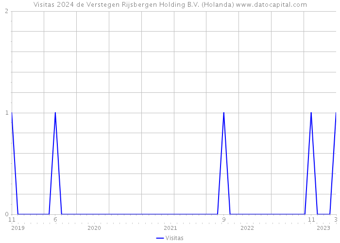 Visitas 2024 de Verstegen Rijsbergen Holding B.V. (Holanda) 